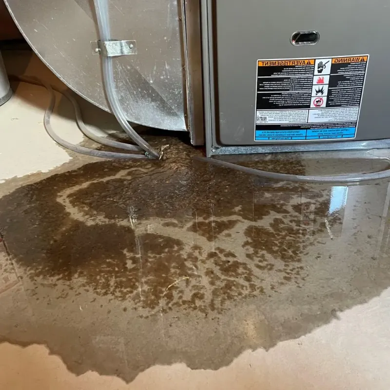 Pipe Burst and Leak Restoration in McCone County, MT